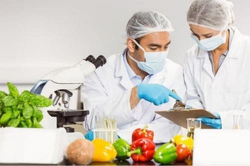 B.Tech in Food Technology Course: Eligibility, Syllabus, Career, Scope