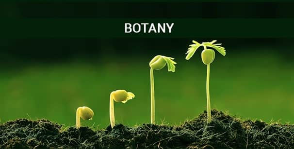 Botany Courses India