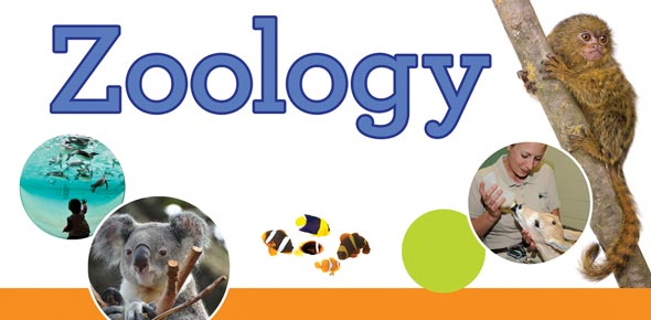 Zoology Courses Details: Syllabus, Eligibility, Career - CoursesXpert