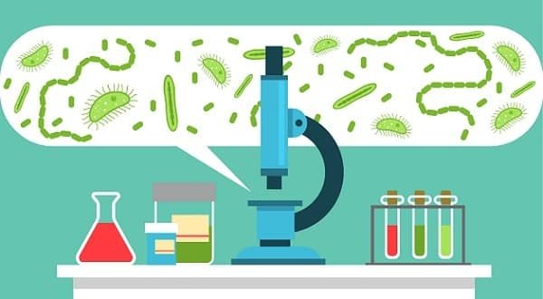 Microbiology Course Details: Eligibility, Career, Syllabus, Fees, Scope -  CoursesXpert