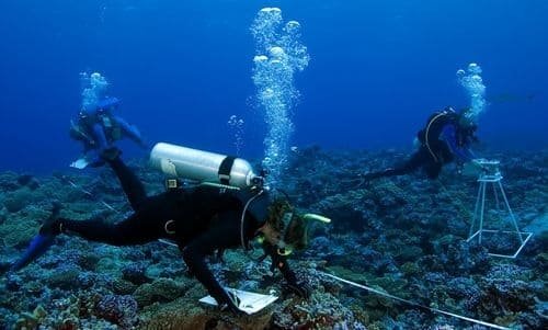 Marine Biologist India